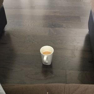 Meet your Posher, Evi